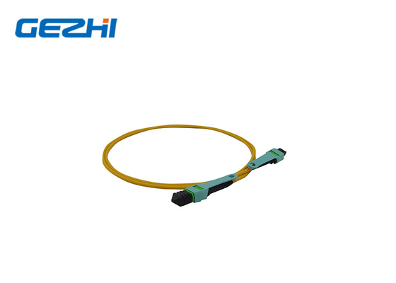주문 12 코어 맞춤형 광섬유 패치 케이블 MPO / MTP OM3/OM4 online manufacture