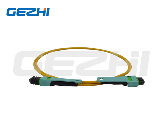 제품 SM OS2 G652D/G657A1 MPO 패치 코드 광섬유 케이블 1M 2M 3M 5M 10M